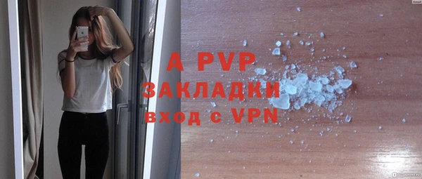 mdpv Богданович